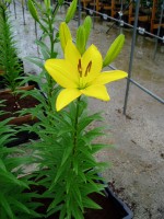 [1601 Mona No40 No02.JPG]